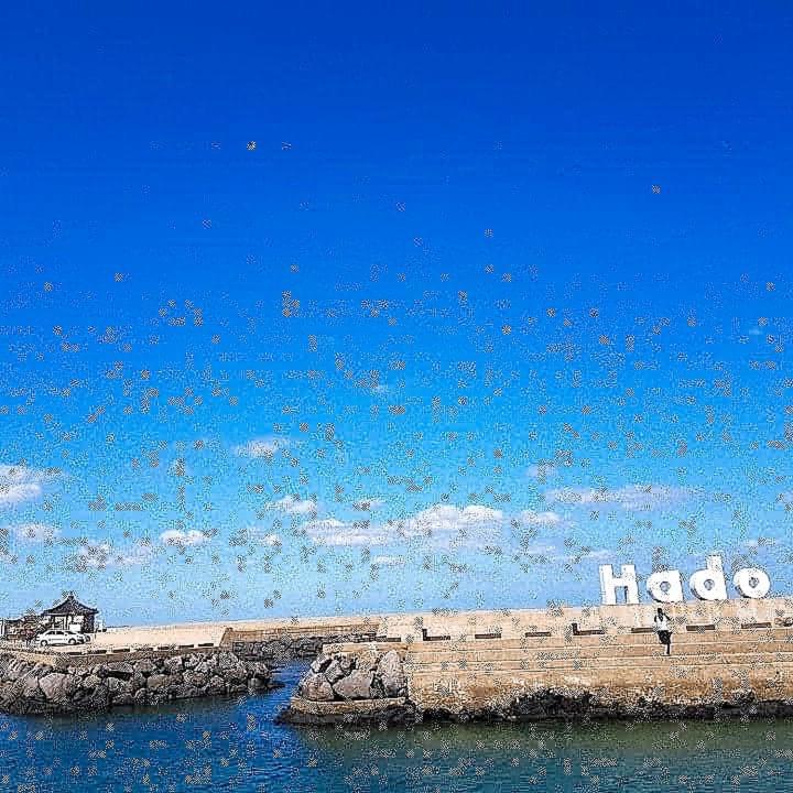 Vila Hadori Mindfulness Čedžu Exteriér fotografie